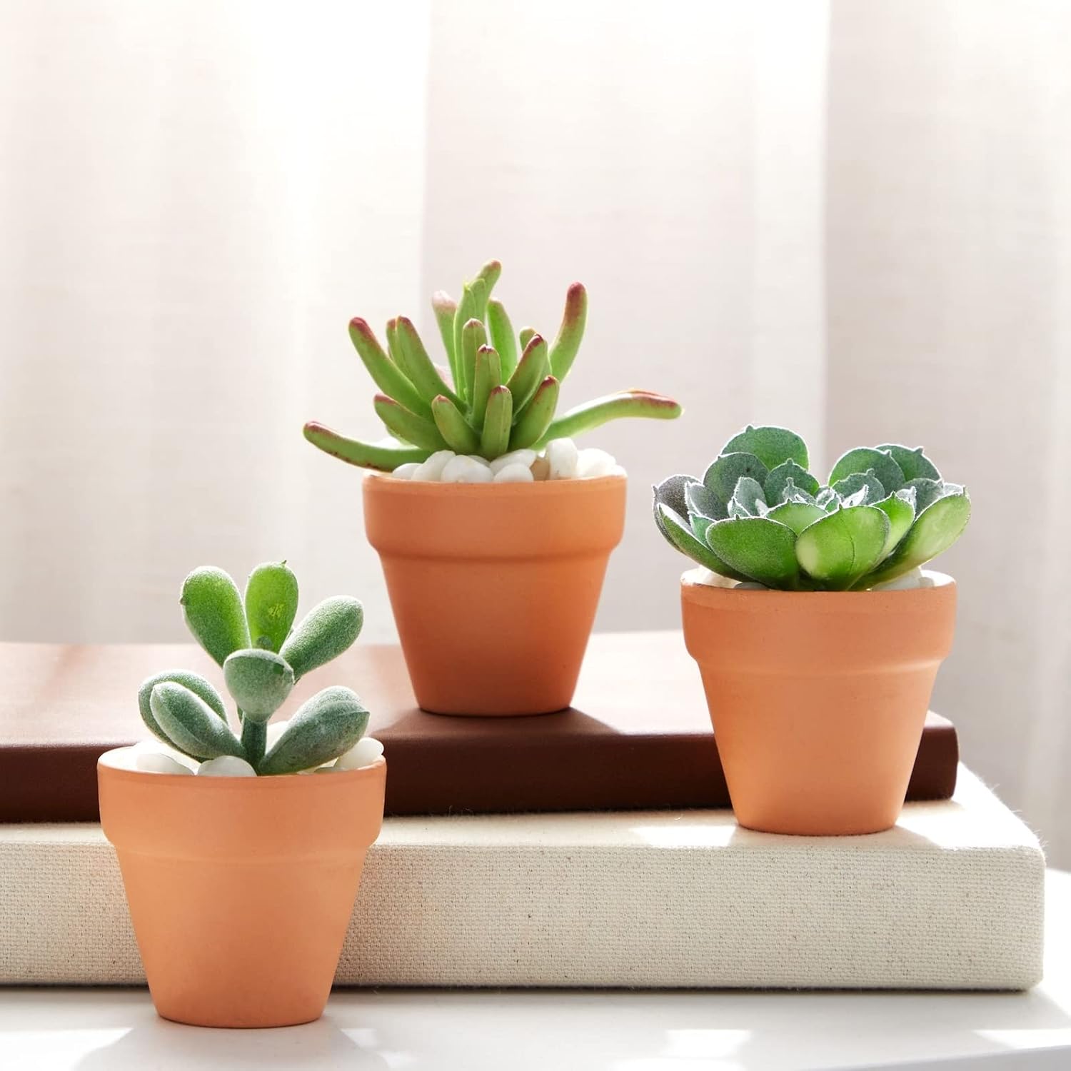 Juvale 10-Pack 2-Inch Mini Terracotta Pots with Drainage Holes for Succulents, Plants, Herbs, and Flowers, Small Clay Pot Planters for Indoor and Outdoor Gardening, Crafts