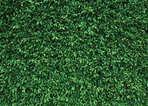 Lywygg 7X5Ft Green Leaves Photography Backdrops Nature Backdrop Birthday Background For Birthday Party Seamless Photo Booth Prop Backdrop Cp-87 #TOP1
