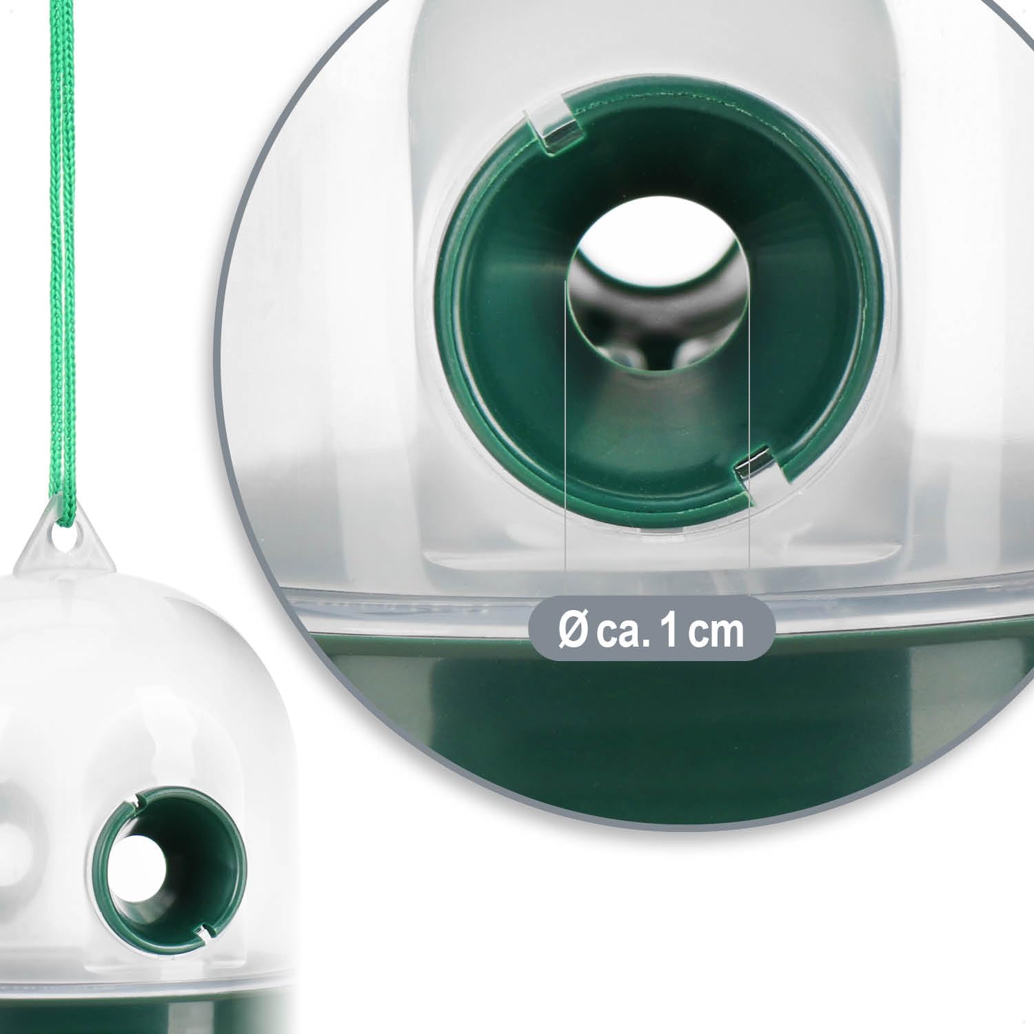 COM-FOUR® Trampa para Insectos 4X - Trampa Viva para Colgar - Protección contra Insectos para Exteriores respetuosa con los Animales - Atrapa Insectos de plástico (04 Piezas - Transparente 12cm)