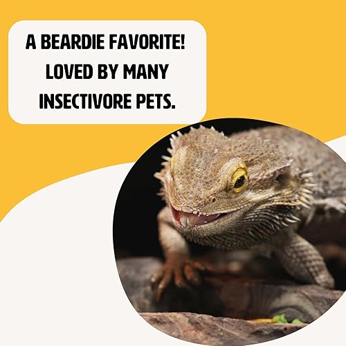 Miniatura 7 de Flukers Freeze Dried Insects - for Reptiles Birds Tropical Fish Semi-Aquatic Amphibians and Hedgehogs