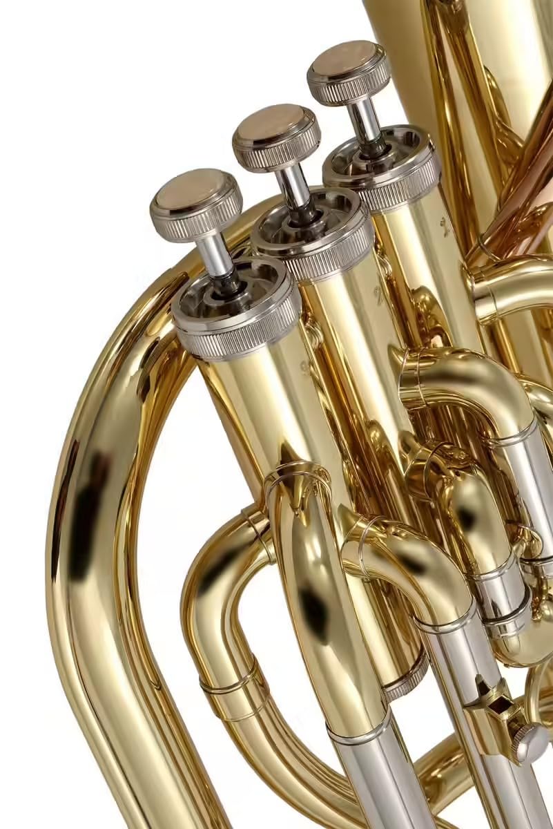 Woodbrass WSH200 - Saxhorn Baryton Si♭ Verni – Instrument à vent Débutant Prêt à Jouer, Laiton Verni, 3 Pistons, Étui Sac à Dos & Embouchure Inclus