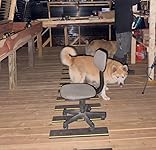 Review Image by India India