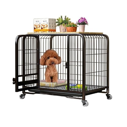 jsdskw 犬用 ペットケージ 金属製 ペットケージ カゴ ドッグクレート 大型犬 中型犬 ノイズ防止 4輪 錆びにくい キャスター付き 角パイプ 錆防止 組み立て 折りたたみ式 ペットサークル 亜鉛メッキ ウサギ 猫 ペット用品 屋根付き 室内用 (ブ