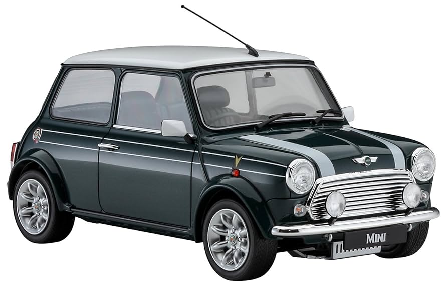 Amazon.com: Hasegawa 120116 620694 1/24 Mini-Cooper BSCC