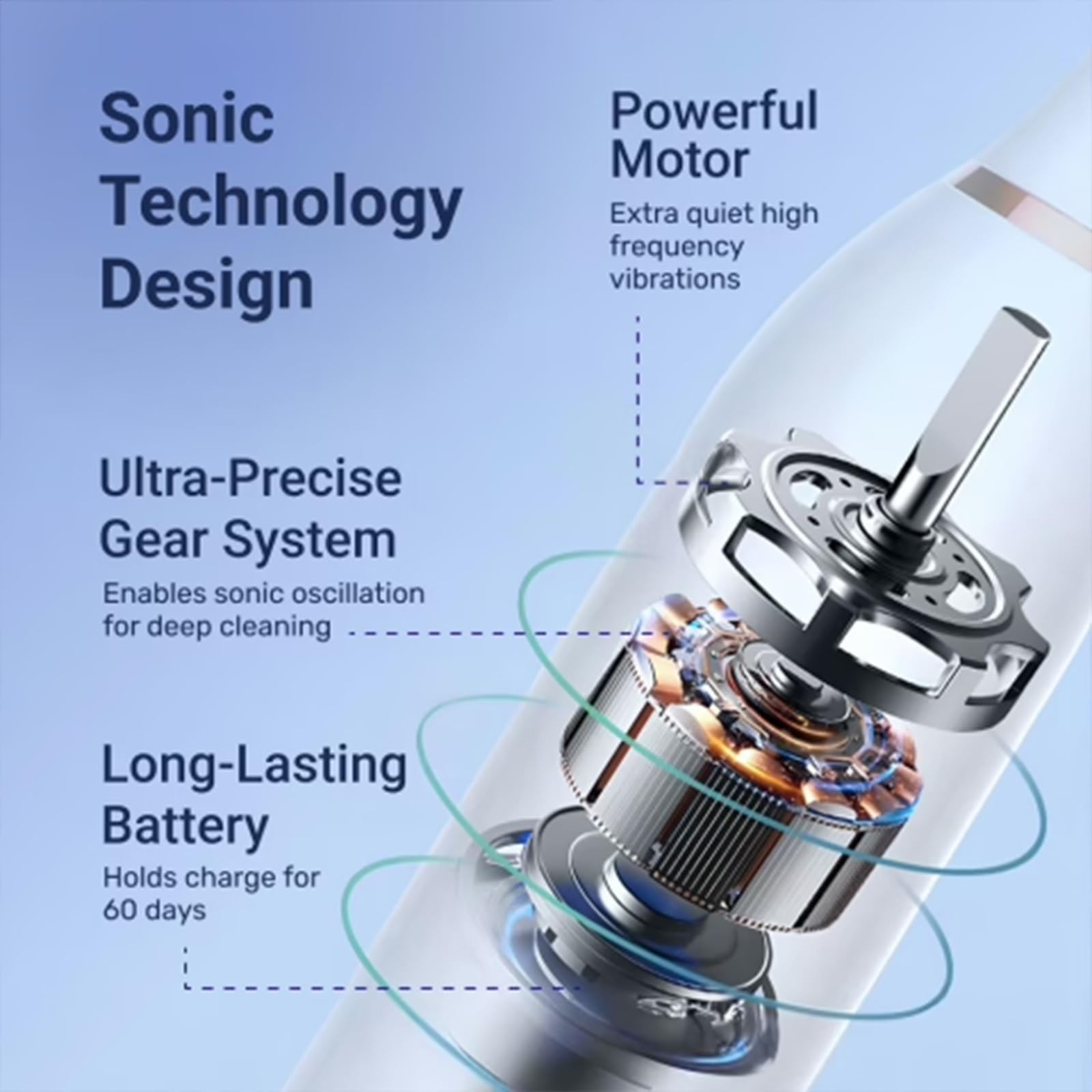 Spazzolino Elettrico wellawhite, Forte Pulizia Acustica, 6 Modalità Di Pulizia, Impermeabile IPx7, Temporizzazione Intelligente Di 2 Minuti, Autonomia a Basso Consumo Energetico(BLACK)