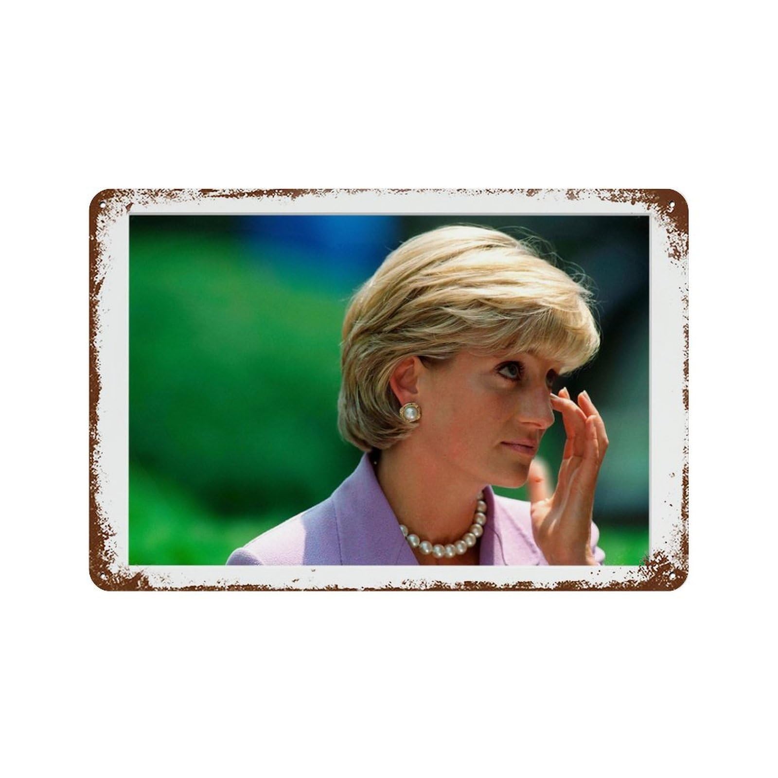 xiaoxiaoshen Diana, Princess of Wales Wall Decor Art Metal Tin Poster Modern Home Decor Art Home Bar Shop Decorations Vintage Sign 20x30cm