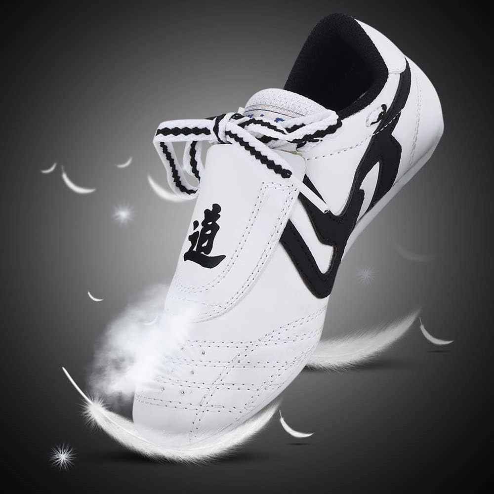 DAYISS Martial Arts Taekwondo Shoes Unisex Children Teenager Sport Lightweight Shoes Sneakers Boxing Karate Shoes for Taekwondo Kung Fu Taichi : Sports & Outdoors