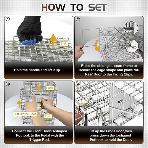 twocorn 17.3\" Heavy Duty Live Squirrel Trap, Folding Small Animal Cage Traps, Humane Cat Trap for Stray Cats, Rabbits, Raccoons, Skunks, Possums and More Rodents, Catch and Release.