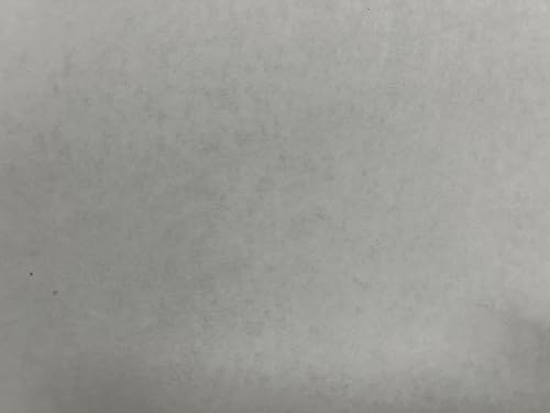 DPI USA T09 Cartucho de tóner alternativo magenta con chip. Reemplazo para uso en impresoras Canon imageCLASS X LBP1127C Canon imageCLASS X MF1127C.