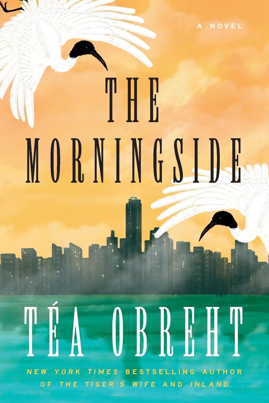 Buy The Morningside — BookShops.in
