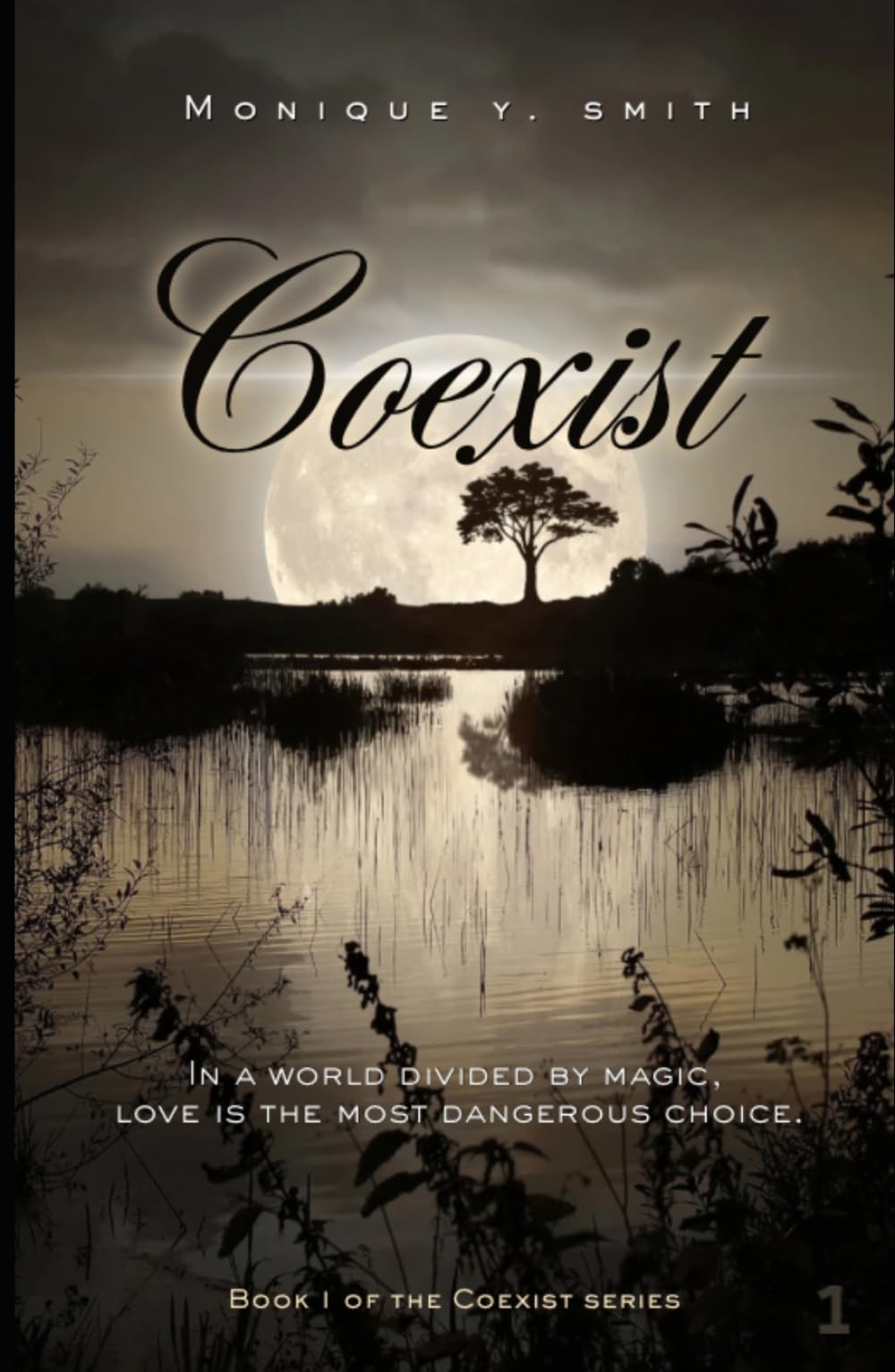 Coexist: A Supernatural Romance: In a world divided by magic, love is the most dangerous choice.