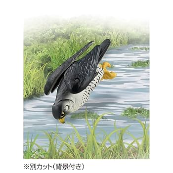 Amazon.co.jp: タカラトミー アニア AS-44 ハヤブサ 動物 恐竜