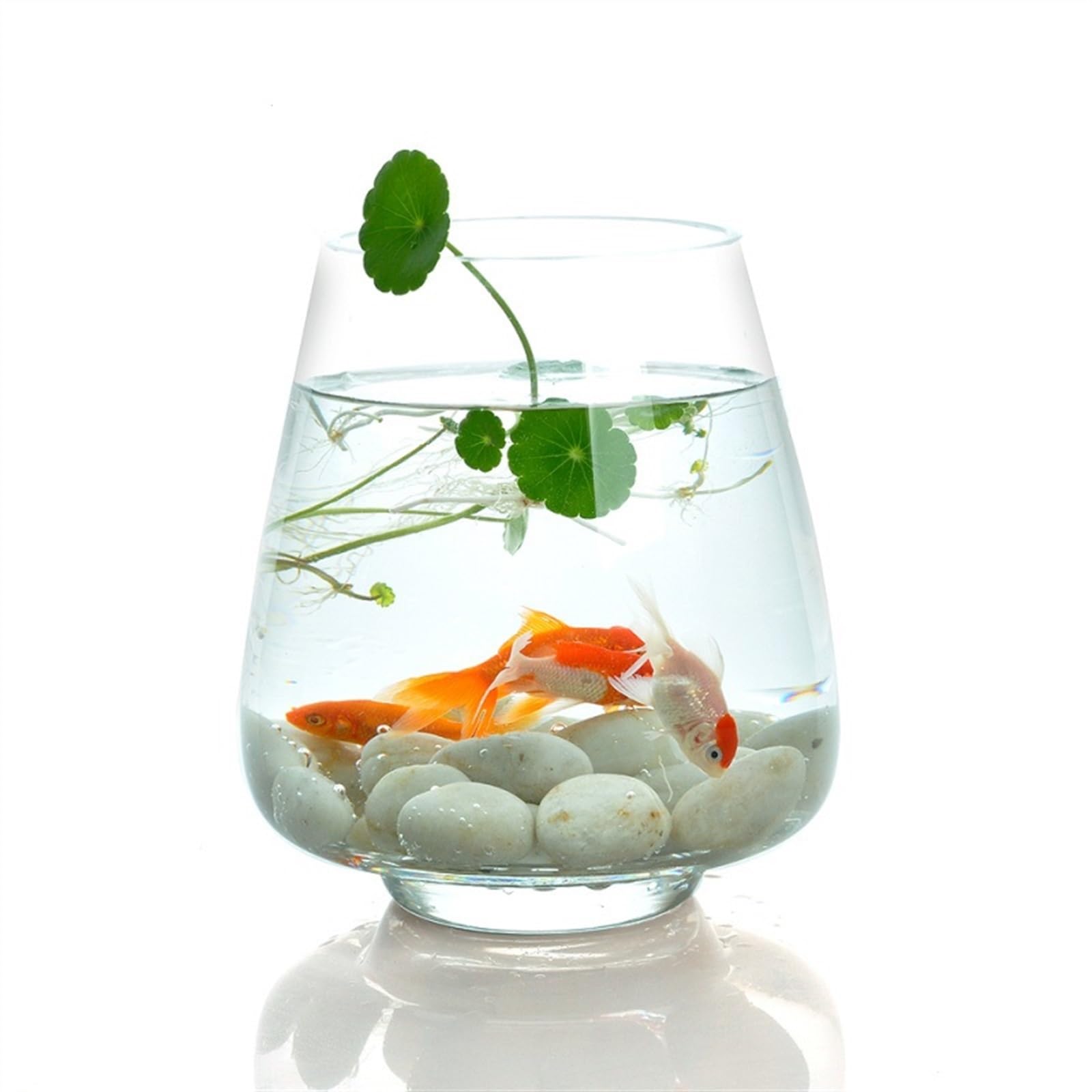 Acuario Tanque de Peces de Cristal Transparente Creativo, Acuario de Escritorio, Sala de Estar, pequeño pez Dorado, Acuario, Oficina, Planta hidropónica Peces Acuario(Grande)
