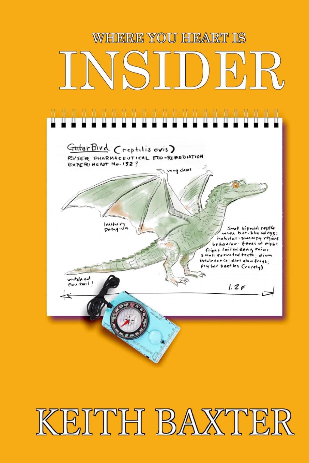 Insider: Where your heart is (Outsider)