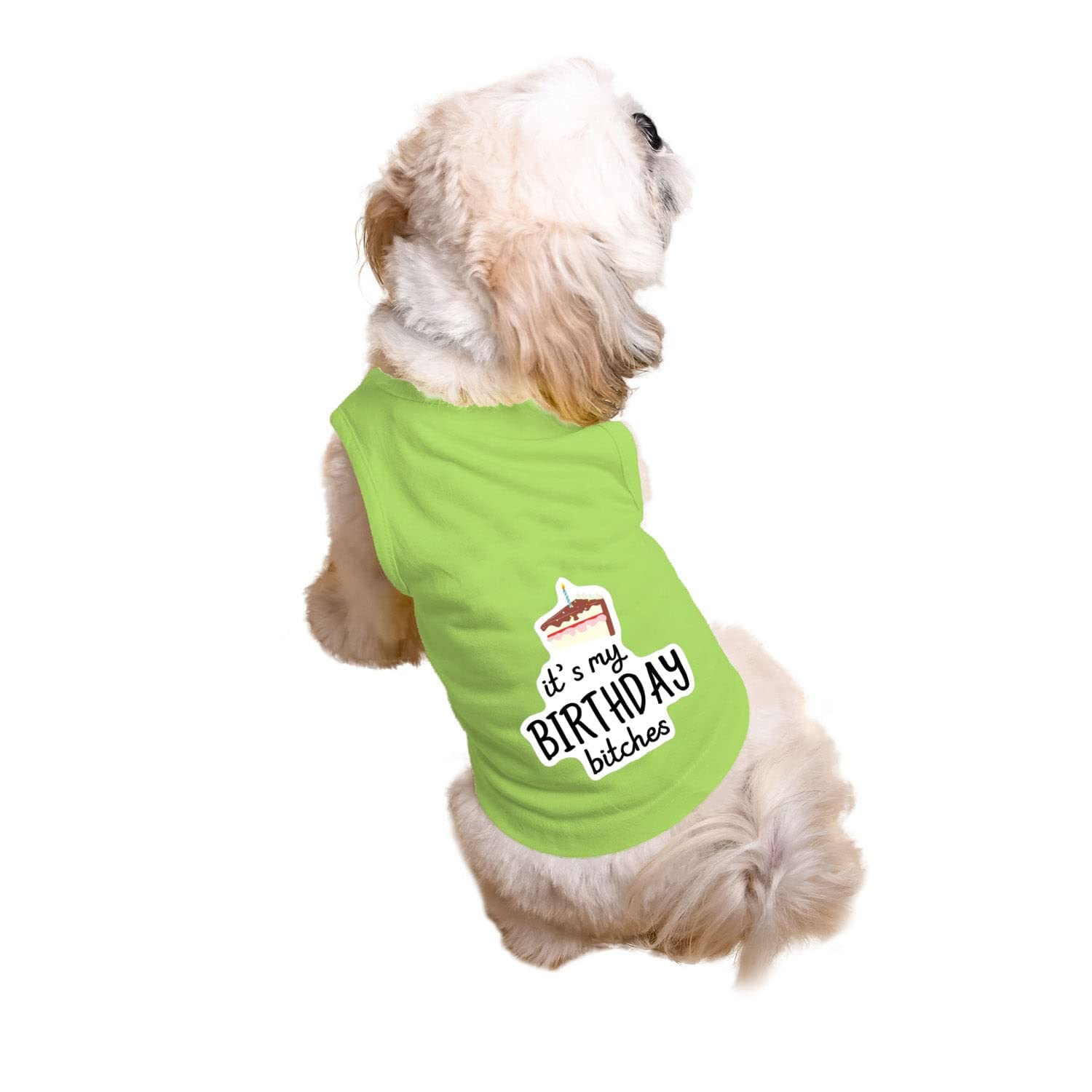 See full amazon price history chart for Ruse Pet Its My Birthday Bitches Too Printed Dog Round Neck Sleeveless Vest Tank T-Shirt/Tees Apparel/Clothes/Tees Gift for DogsLime Greens (Apso, Cocker Spaniel etc.) Ruse Pet Its My Birthday Bitches Too Printed Dog Round Neck Sleeveless Vest Tank T-Shirt/Tees Apparel/Clothes/Tees Gift for DogsLime Greens (Apso, Cocker Spaniel etc.) (B0BW66PZ7S) Amazon Price History, Amazon Price Tracker