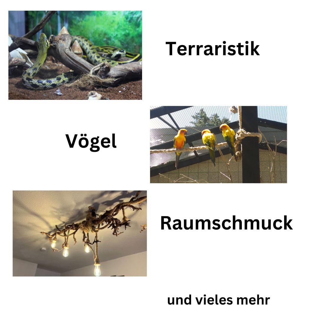 Weinrebe, Rebenholz, verästelt, sandgestrahlt, Verschiedene Größen, Terrarium Deko, Sitzstange, Vogelsitzplatz, Käfigzubehör, Floristik und Raumschmuck