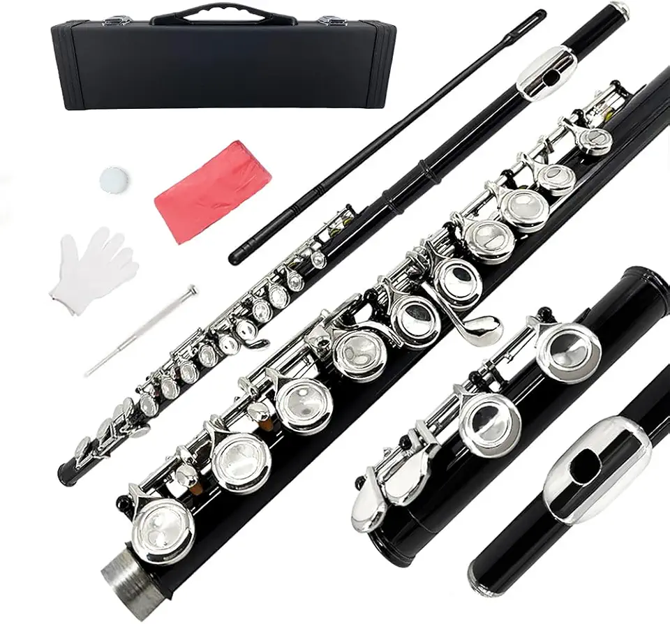 Flauta Transversal Em Dó Com Orifícios Fechados, 16 Chaves, Para Iniciantes, Acabamento Em Níquel Azul. Acompanha Kit De Limpeza, Estojo, Luvas E Haste De Afinação (Preta).