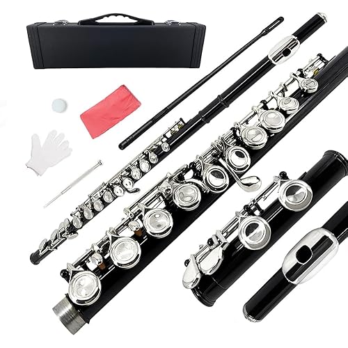 Closed Hole C Flutes 16 Keys Flute for Beginner Student Blue Nickel Flute Instrument with Cleaning Kit Carrying Case Gloves Tuning Rod (black)