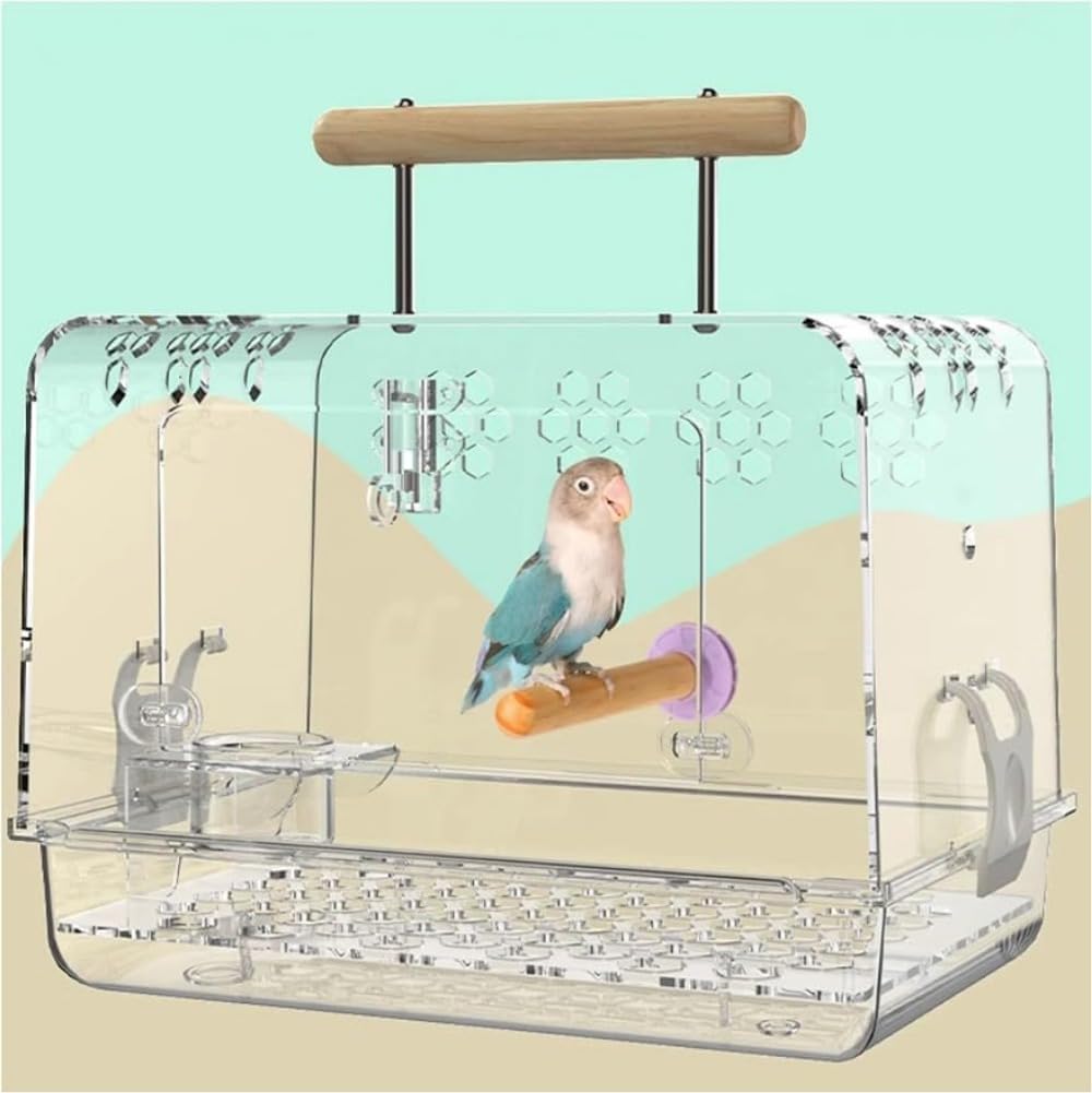 マロインコアスレチックジムツリー マロインコアスレチックジムツリー