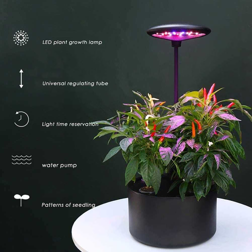 Sistema di Coltivazione idroponica, Kit di avviamento per Giardino con Erbe aromatiche da Giardinaggio a 4 baccelli con Timer Automatico, Buon Regalo per la Famiglia