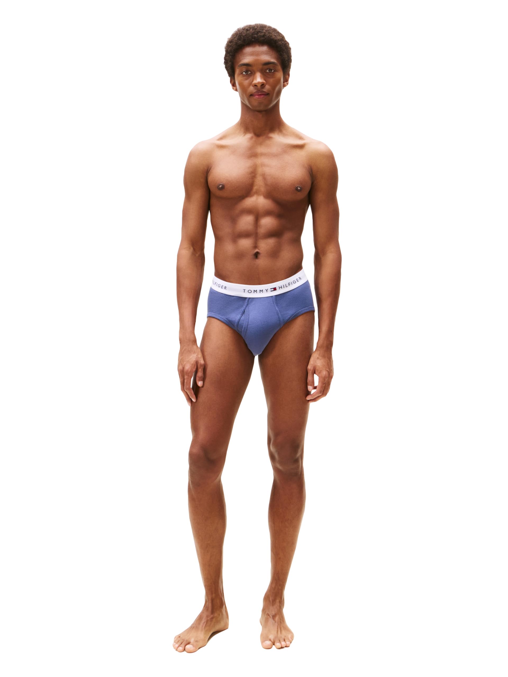 Tommy Hilfiger Men's Cotton Classic 4-Pack Brief: X-Large 1 Breezy Blue, 1 Bank Blue, 2 Desert Sky