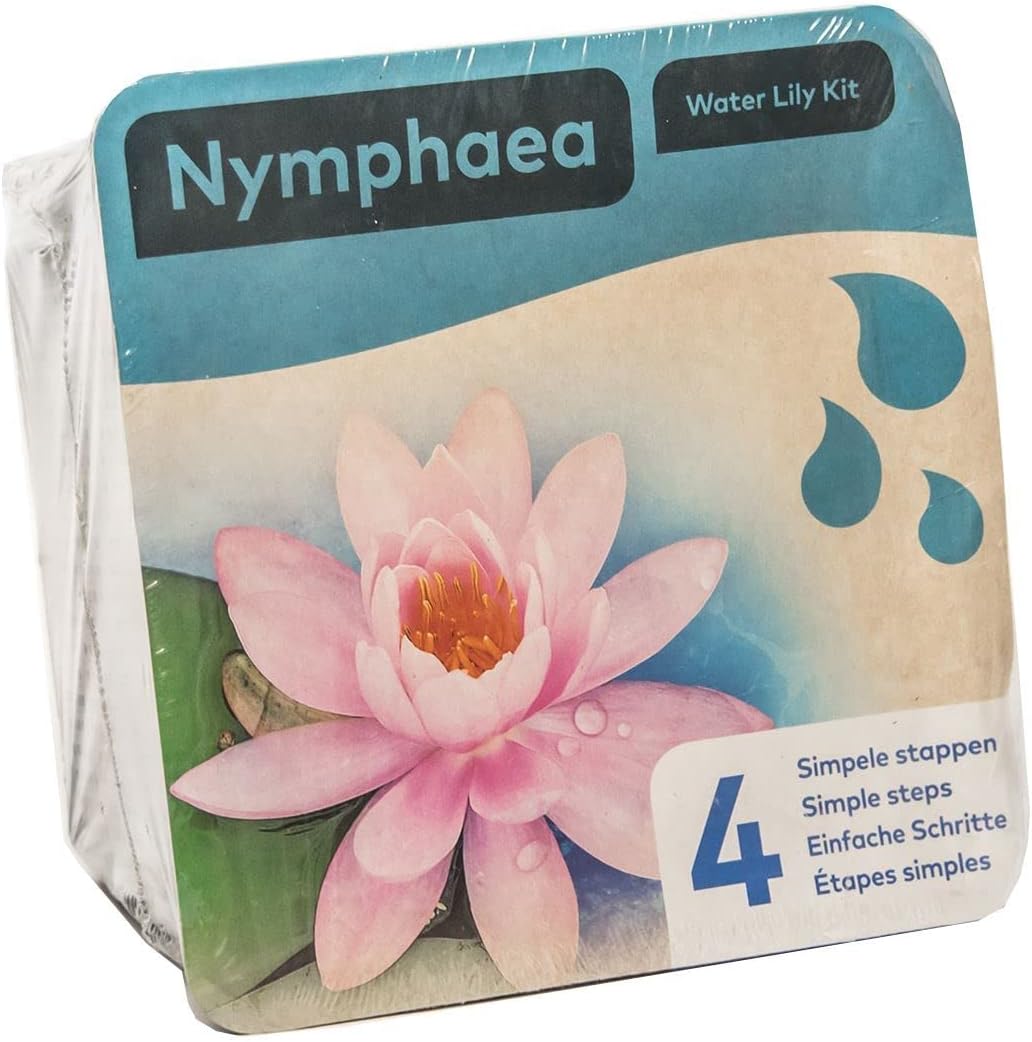 Moerings Pink Water Lily Pond Plant Kit - Complete Kit for Easy Pond Setup