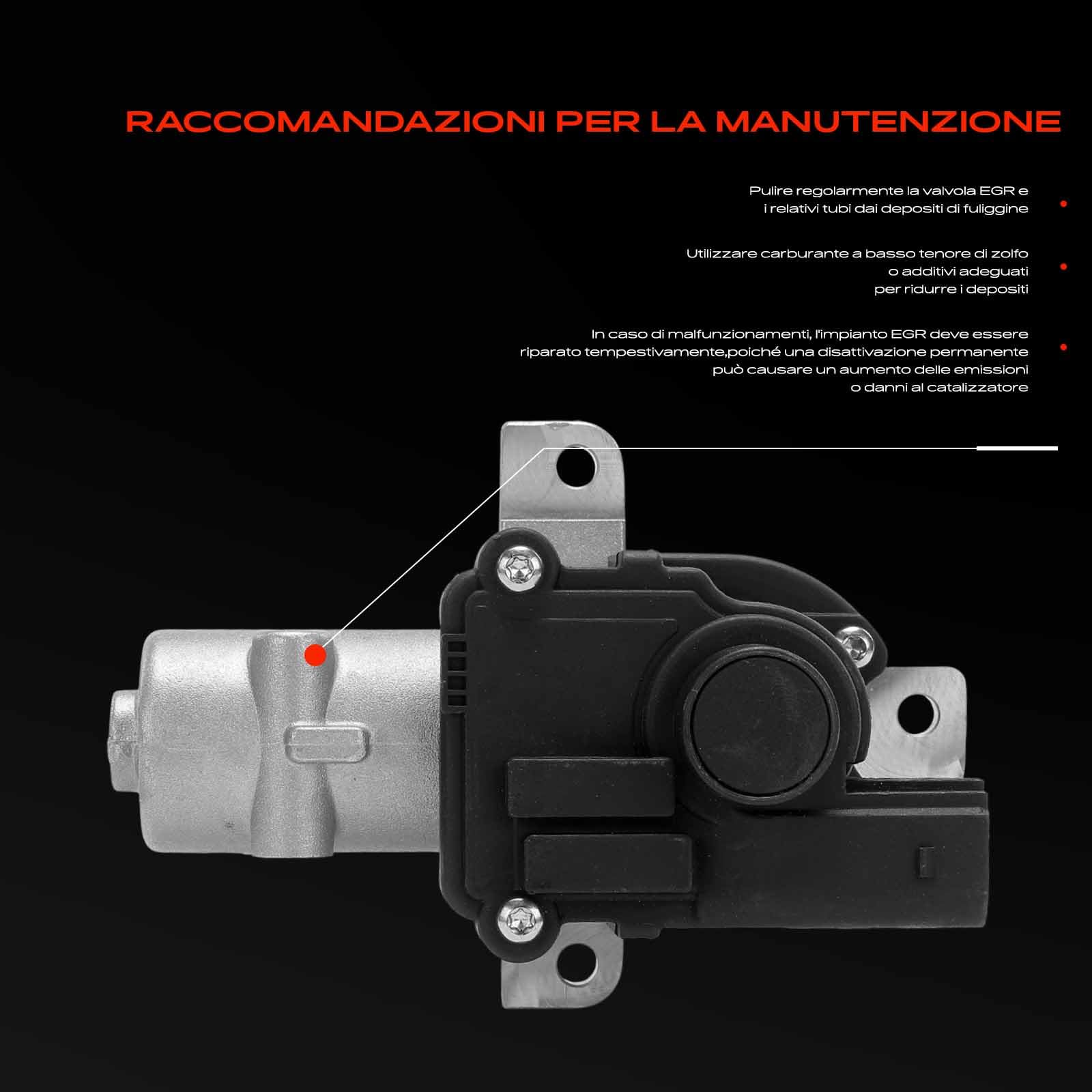 Frankberg Valvola EGR per il ricircolo dei gas di scarico 8200561269 | Compatibile con: Logan Pick-up US, Clio III Grandtour KR0/1, Laguna III Grandtour KT0/1, Logan Express FS