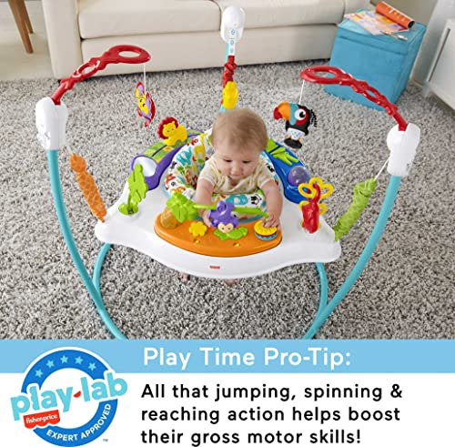 Fisher-Price FFJ00 Baby Bouncer Animal Activity Jumperoo Musical Play Center thumb #4