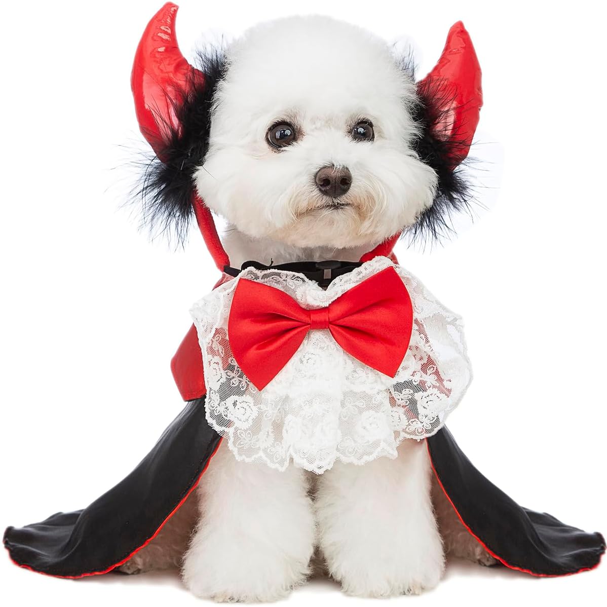 Amazon.com : Impoosy 2PCS Dog Halloween Costume Pet Demon Shirts with ...