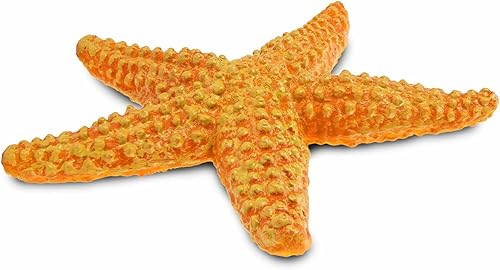 Miniatura 7 de Safari Ltd Wild Safari Sea Life Estrella de mar