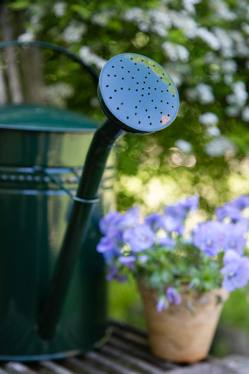 Gießkanne 10 Liter Grün Metall Zinkkanne Verzinkt Kanne 6009 Wasserkanne