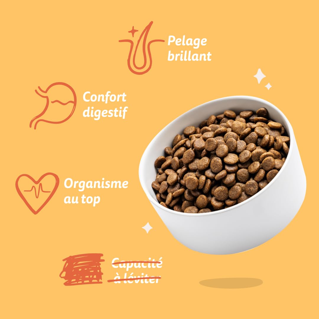 Edgard & Cooper Croquettes Chien Sans Céréales Pour Chiens Adultes Large (12kg), Poulet Frais, Teneur En Fibres Equilibrée Pour Ventres Heureux, Recette Naturelle, Jamais De Farine Animale
