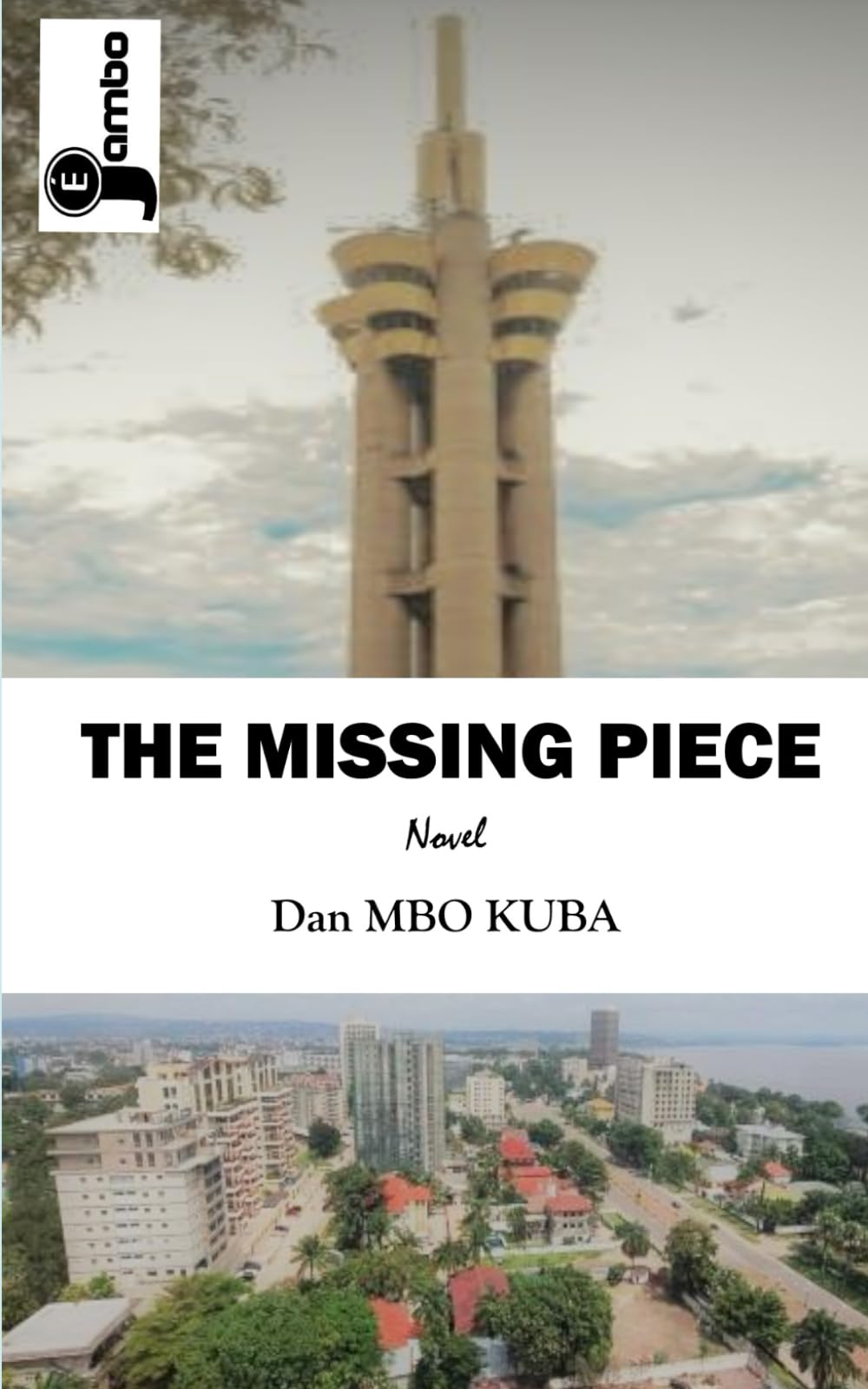 THE MISSING PIECE