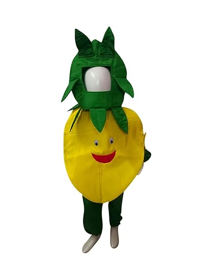fruit and veg fancy dress