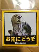 614Xwp6oDdL._AC_SY200_QL15_.jpg