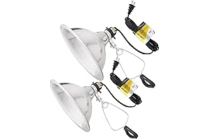 Simple Deluxe 2-Pack Clamp Lamp Light