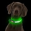 LaRoo LED Dog Collar, Rechargeable Nylon Light Up Dog Collars, Adjustable Glowing Pet Led Collars for Small Medium Large Dogs Night Visible