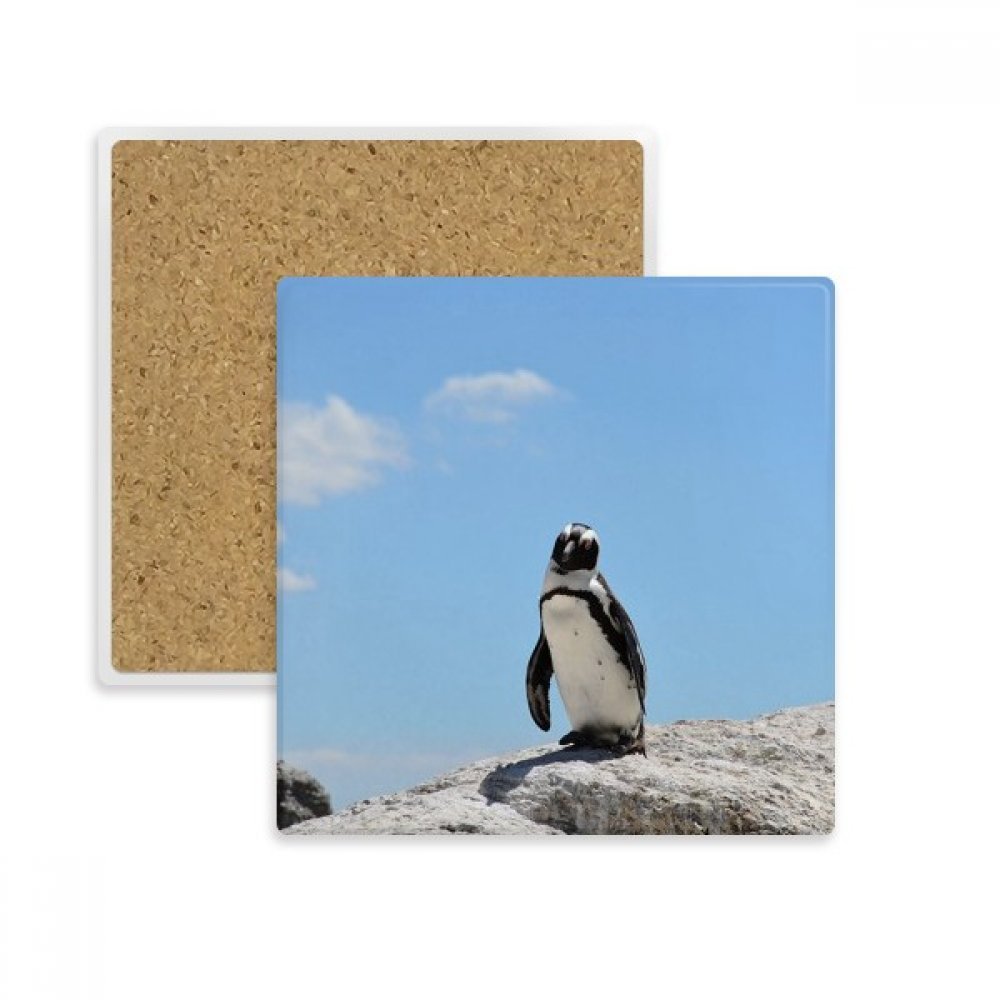 Sous-verre antarctique pingouin en pierre absorbante pour verres et tasses