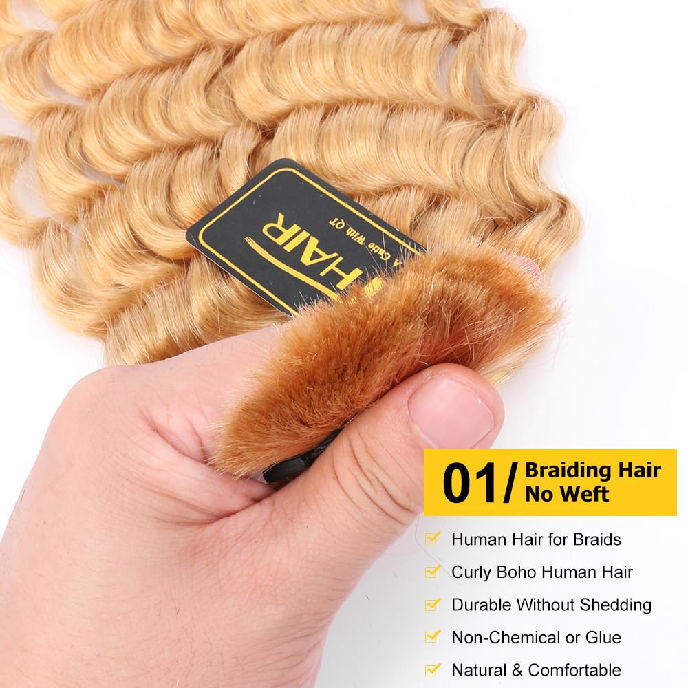 QTHAIR Human Braiding Hair 1 Bundle 24 Inch 14a Deep Wave Bulk Human Hair #27 Honey Brown Human Hair Bundles for Braiding No Weft Brazilian Virgin Human Hair Deep Wave Human Hair, #27(Honey Blonde)
