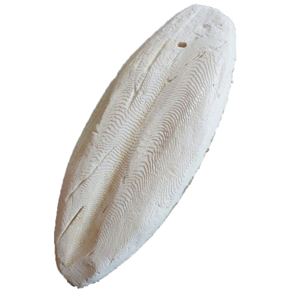 Zonster Natural Cuttlebone Cuttlefish Sepia Bone Cuttle Fish Snails Bird Food Calcium Pickstone Parrot Birds Teeth Grind Training (3~4Cm)