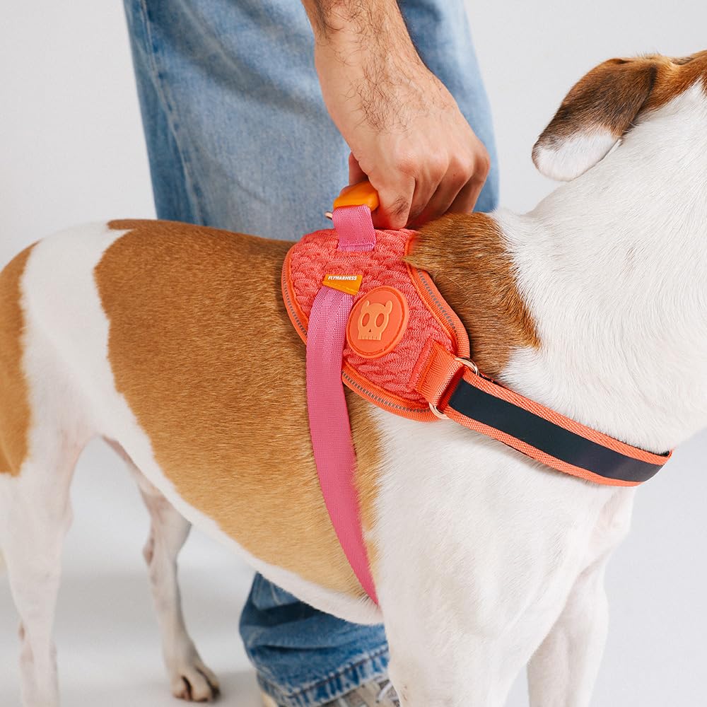 Amazon | 【zee.dog】ジードッグ FLY HARNESS フライハーネス (GAZELLE