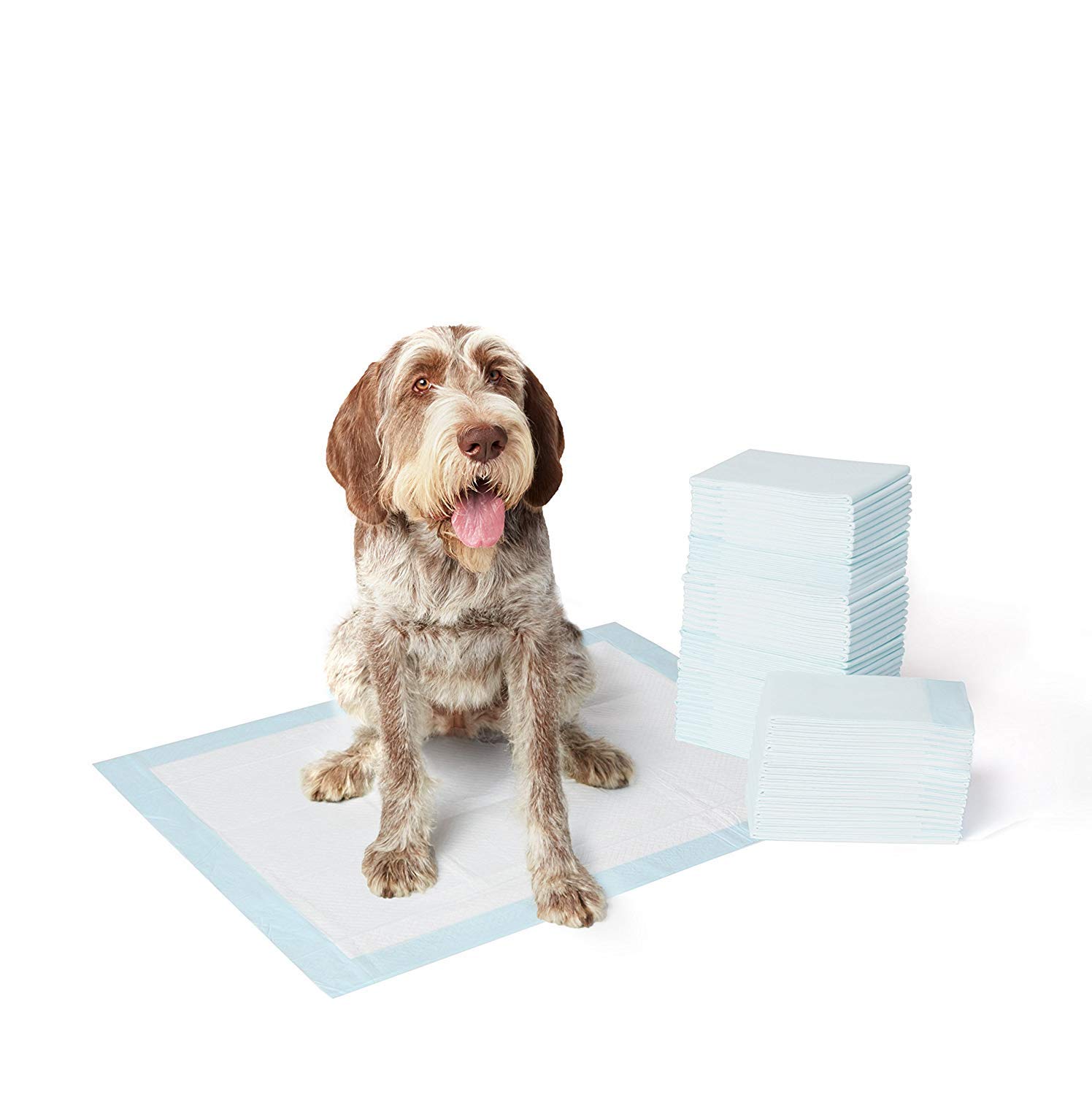 The Pets Company Puppy Potty Training Pads with Extra Absorption, 45 cm X 60 cm, 25 Pieces (B07CNTHSHS) Amazon Price History, Amazon Price Tracker