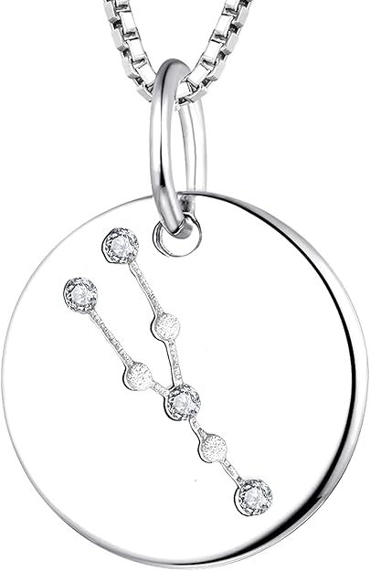 YL Women's Constellation Necklace Sterling Silver Zodiac Jewelry Astrology Coin Horoscope Pendant