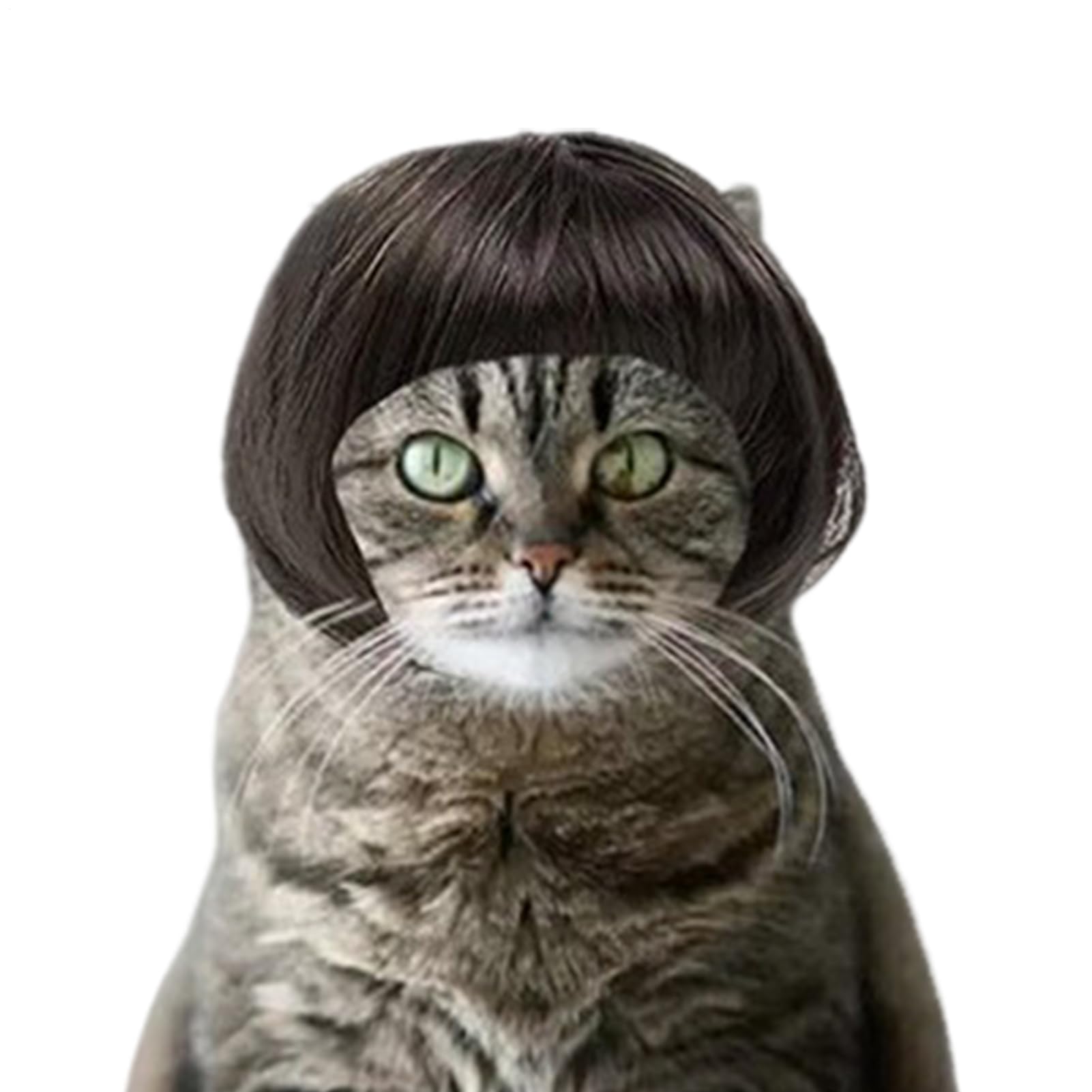 Cat Wig - Adjustable Fit Hair with Bangs | Funny Wig | for Halloween Christmas Celebration Holiday Photography Event