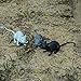 XONOR Halloween DÃcor Set of 3 Realistic Looking Spooky Mice Rats, Super Large Plastic Mouce for Best Halloween Decoration, 3 Colors (White & Black & Grey)