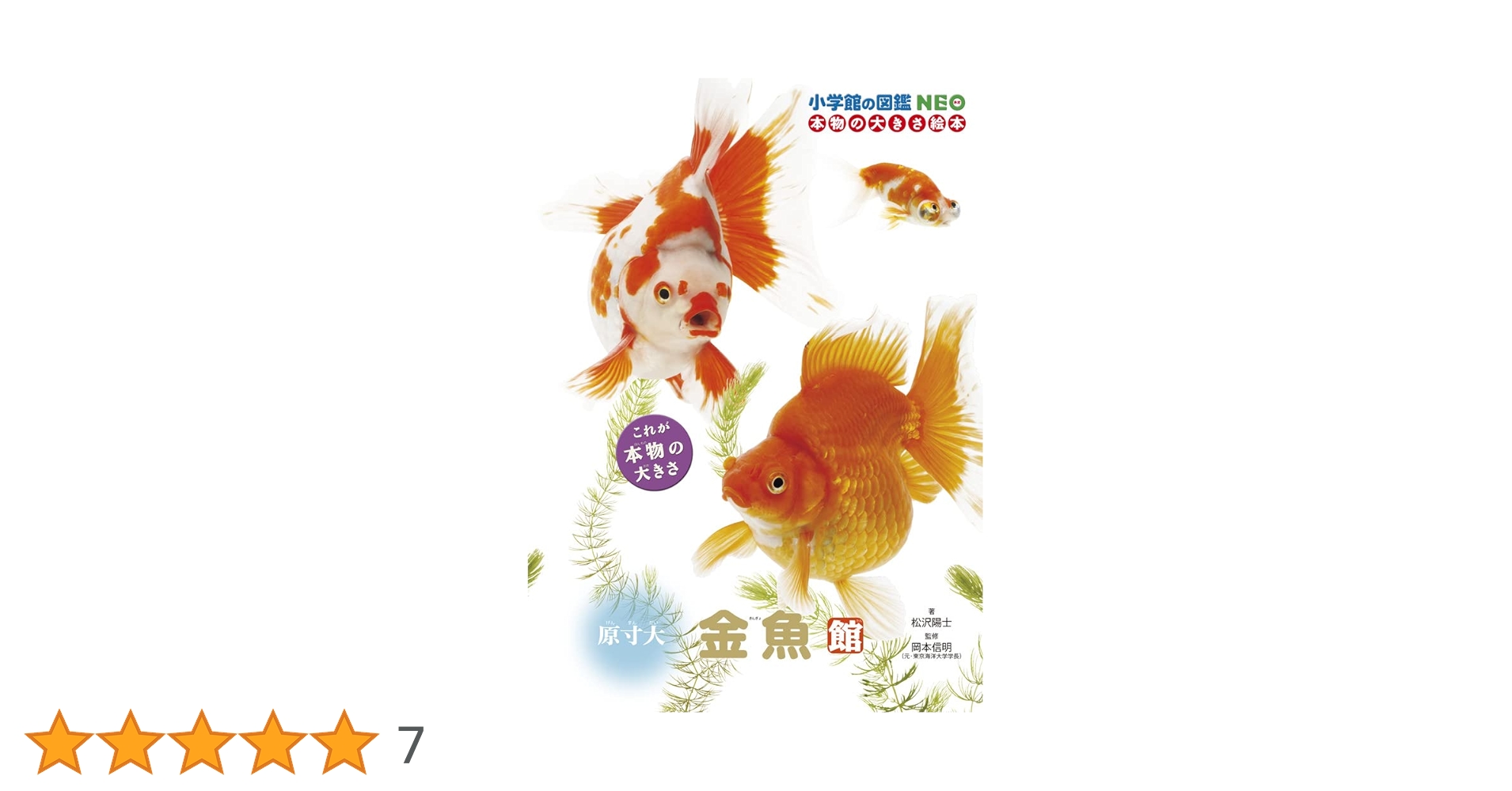 淡淡金魚 全巻セット 1-8巻 淡淡金魚 全巻セット 1-8巻 淡淡金魚 全巻セット 1-8巻 Amazon