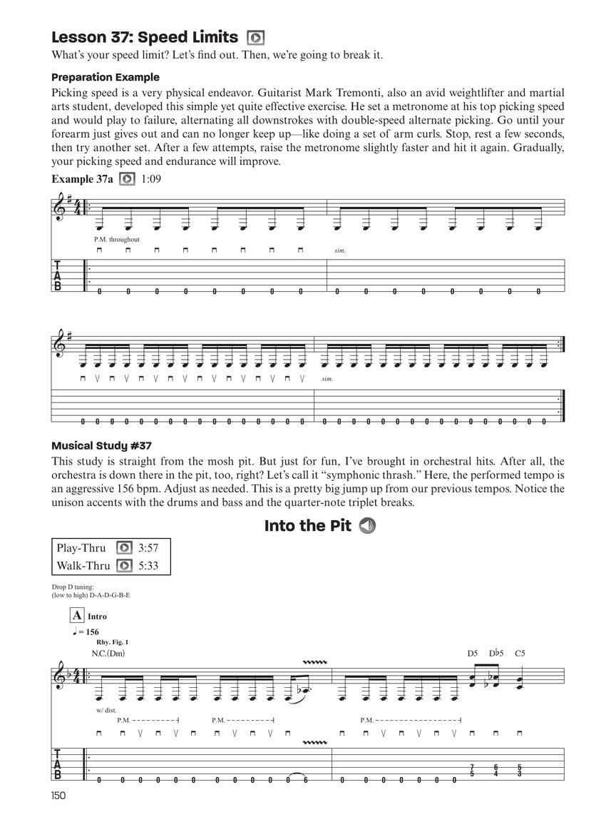 Total Picking Control - Troy Stetina | Méthode guitare rock solo intermédiaire à avancé avec tablatures et notation | Cours complet de picking, vitesse et contrôle technique avec audio en ligne