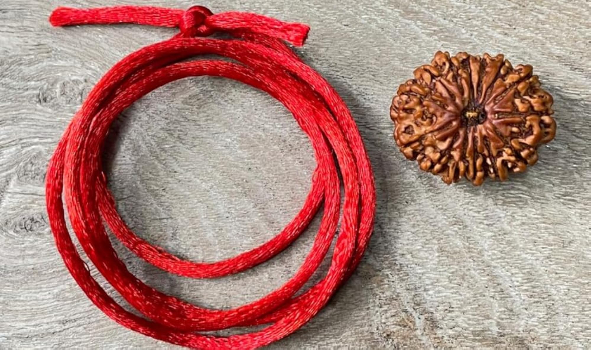 14 Mukhi Rudraksha Certified Pendant with Capping