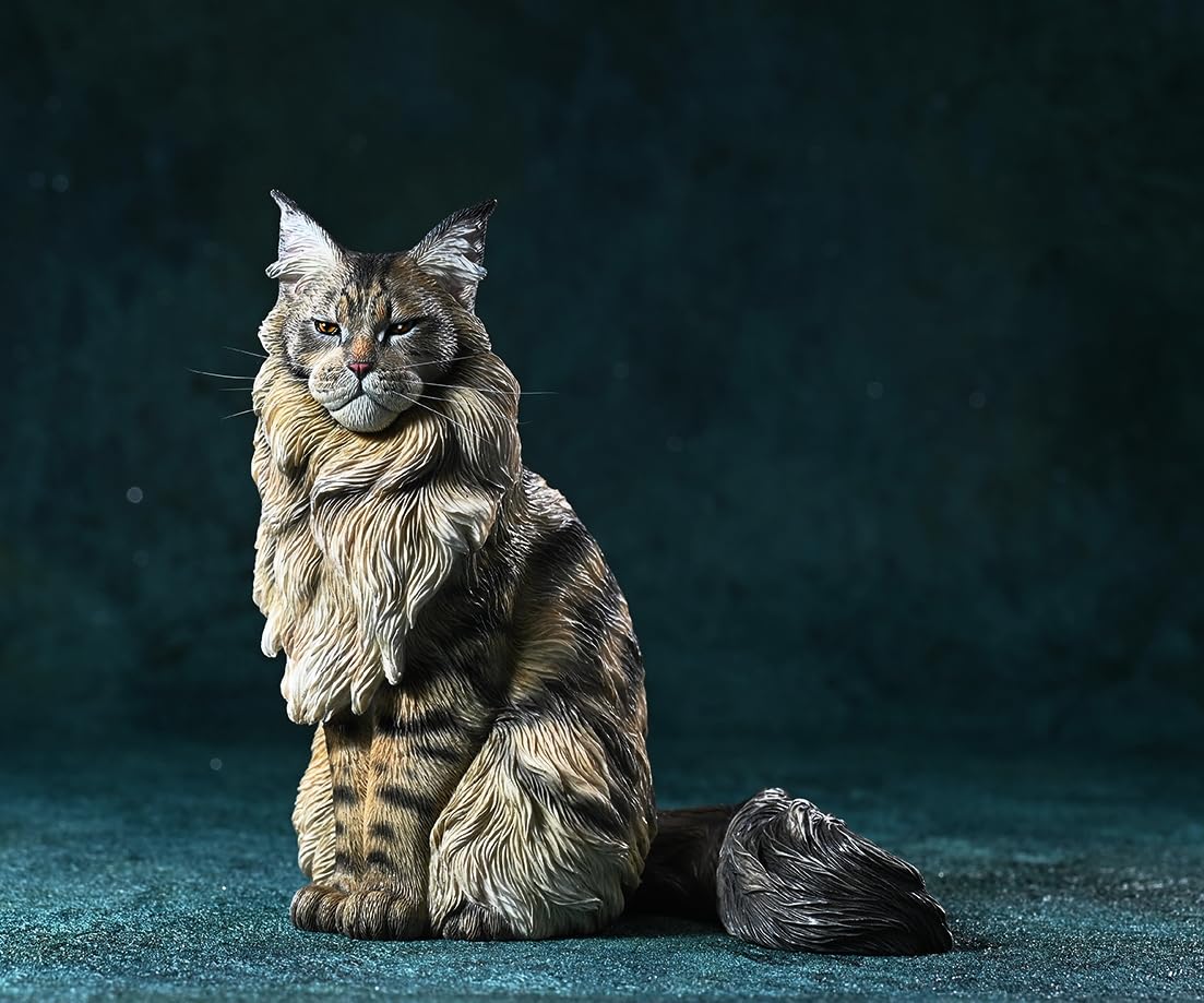 Chat Maine Coon échelle 1:6 AMITD193D figurine réaliste pour décor de scène et collectionneur
