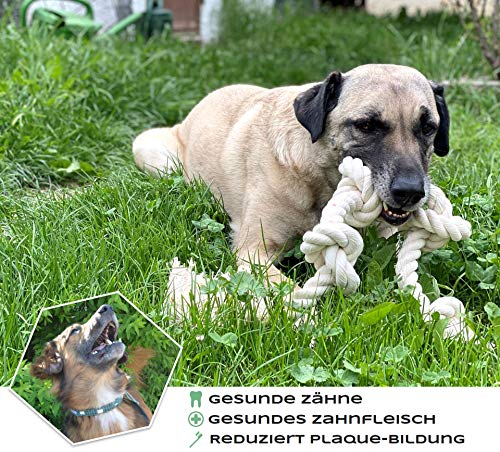 Go rilla® Hundespielzeug Seil, Tau Hund Spielzeug, Hund Seil Spielzeug Set, Interaktives Kauspielzeug Spielzeug, Vorteilhaft für die Zahnreinigung des Hundes, für Welpe Mittlere/Große Hunde (S, Natur)
